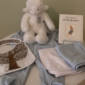 Newborn Boy Gift Basket: